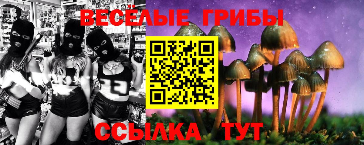 Псилоцибиновые грибы Magic Shrooms  купить   Строитель  Вход с VPN 